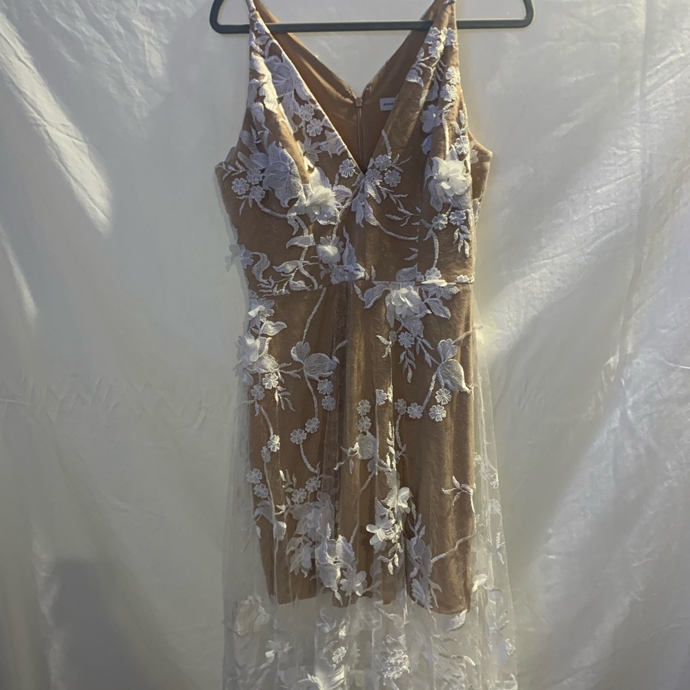 Semi Formal Laced Dress - Picture 6 of 7